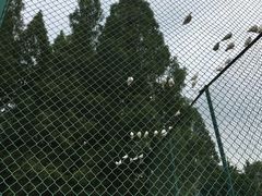 -南京金牛湖风景区