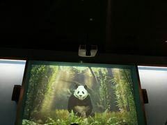 -珠海横琴国家地理探险家中心(创新方)