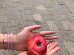 -泰山风景名胜区