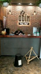 -ODIN 奥丁形象设计 