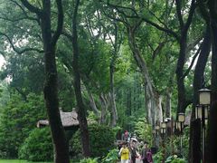 -上海醉白池公园