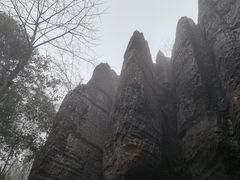 -山王坪喀斯特国家生态公园