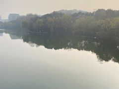 -杭州半山国家森林公园