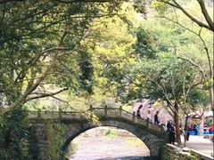 -雁荡山大龙湫景区