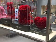 -ROSEONLY诺誓(青岛万象城店)