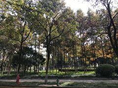 -后襄河公园