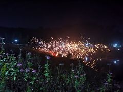 -大塘金香草谷