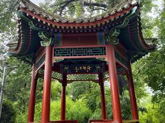 -近春园遗址