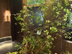 -将军牛排·尔滨地标朝鲜族美食(总店)