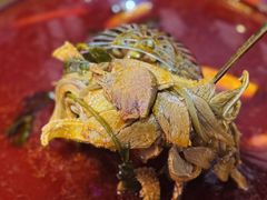-二钳洞庭虾蟹·江湖菜(成都鹭岛店)