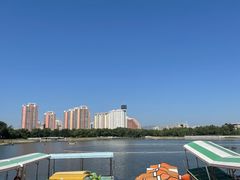 -莲花池公园
