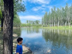 -东郊湿地公园