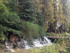 iphone_upload_pic-上海怡沁园度假酒店