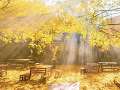 -光雾山旅游景区