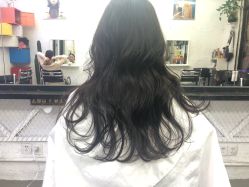 点击看大图 -SALON V