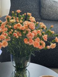 -JNK皮肤管理中心