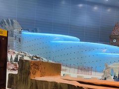 -广州热雪奇迹