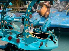 -南宫五洲植物乐园