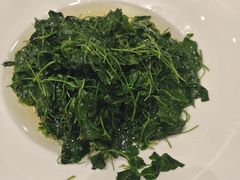 -同庆楼(奥体中心店)