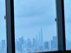 -上海龙之梦万丽酒店