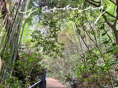 -广州市白云山风景名胜区