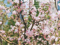 -海棠花溪(元大都城垣遗址公园)