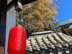 -慢丽江·云南野生菌土鸡锅(付家庄店)