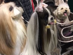 -香港会议展览中心演讲厅