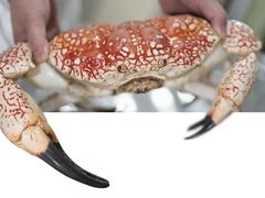 -澜棠海鲜(余姚阳明古镇店)