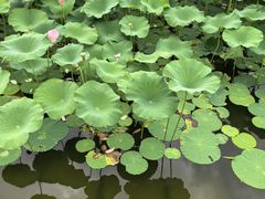 -长春世界雕塑园冰雪艺术天地