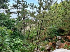 -养马岛旅游度假区