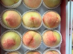 -南汇新场正宗水蜜桃采摘