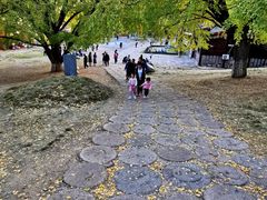 -千年银杏谷文化旅游区
