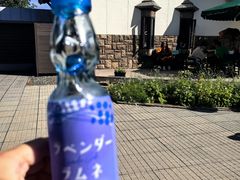 -富田农场