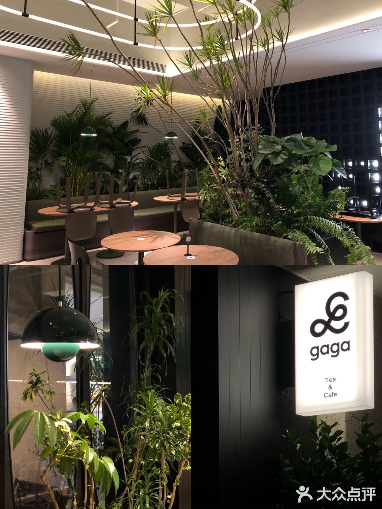 珠海首家gaga🔥北上深排队王🍽网红西餐厅‼️
