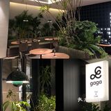 珠海首家gaga🔥北上深排队王🍽网红西餐厅‼️