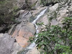 -木兰云雾山