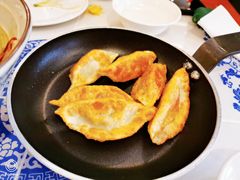 -东方饺子王(新阳路店)