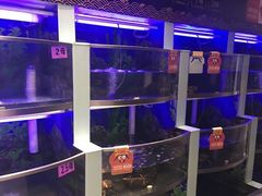 水产区-七欣天(上海淮海路新尚广场店)