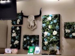 -彼家美创·量肤定制修护管理