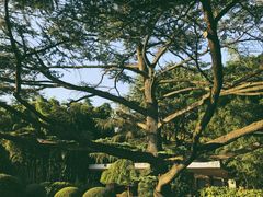 -西郊宾馆·1921餐厅