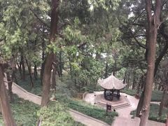 -七曲山风景区