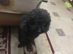 -杉惠素颜美妆皮肤管理中心