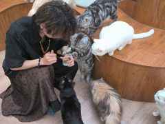 -有猫主题·治愈系猫咖(曾厝垵店)