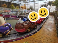 -南宫五洲植物乐园