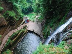 -碧峰峡风景区