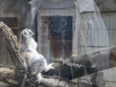 -昆明动物园