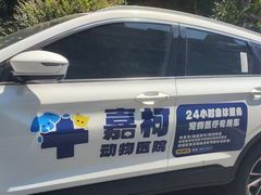 -嘉馨宠物医院·CT影像转诊·心脏科·犬猫全科诊疗中心(下沙大学城院区)