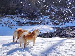 -秦岭终南山世界地质公园翠华山景区