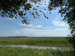 -野鸭湖国家湿地公园